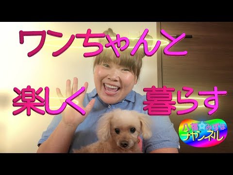 #1 八福☆みずほの自己紹介【犬】【飼い主】