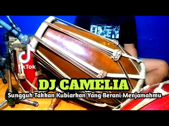 DJ CAMELIA Koplo Tiktok COVER Kendang Rampak!!! class=