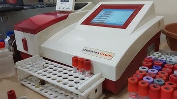 Serum Creatinine Test on semi - auto analyzer