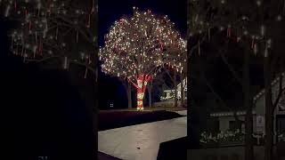 Beautiful Cascading Lights
