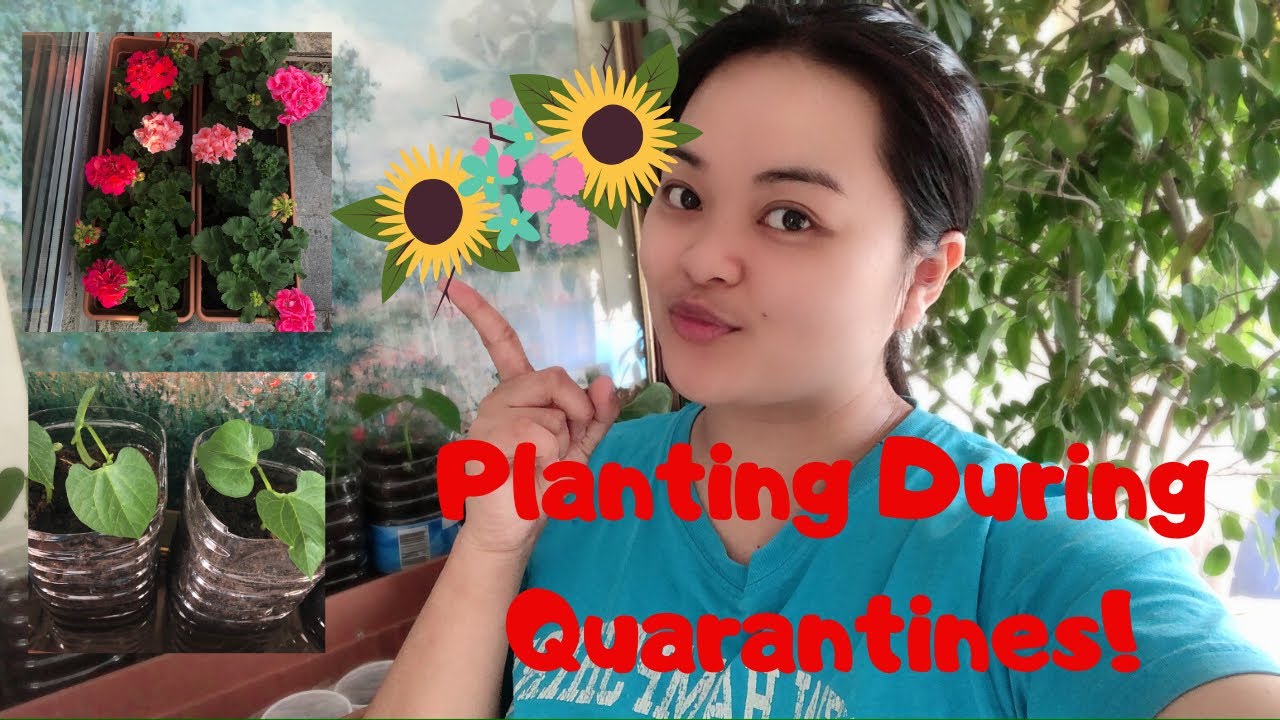 ⭐️Planting During Quarantines ⭐️ YouTube