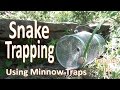 Snake Trapping with Minnow Traps