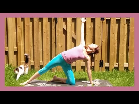 Yoga Flow for Beginners - 30 min Total Body Workout for Beginners (with cats!)