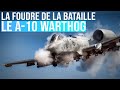 Le A-10 WARTHOG, l'avion tueur de chars!