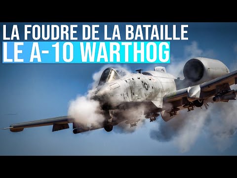 The Tank Killer | A-10 Warthog