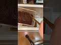 ムカデを移動したらおぼれてしまいました…