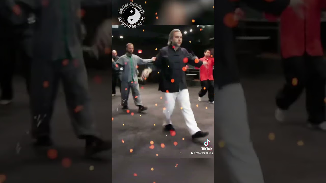 Chen Style Tai Chi Sword lead by Ryan Figg at the 2015 Black Sash graduation.