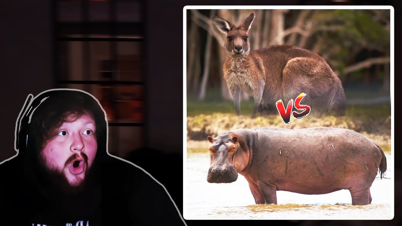 Another Day Of Reacting To Fan Made Media