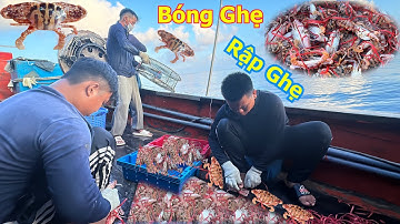 Nghề bóng ghẹ rập ghẹ, quá trình ngư dân thả mồi đánh bắt ghẹ từ đáy đại dương - Dân Biển