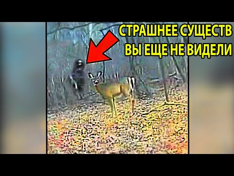 Видео: 5 Новых ПРИЗРАКОВ На Видео. РЕАЛЬНЫЕ КАДРЫ.  Мегаподборка. Паранормальное