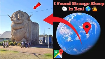 I Found Strange Sheep 🐑 In Real On Google Earth Old Maps 🌎#googleearth #googlemaps #viralvideo 
