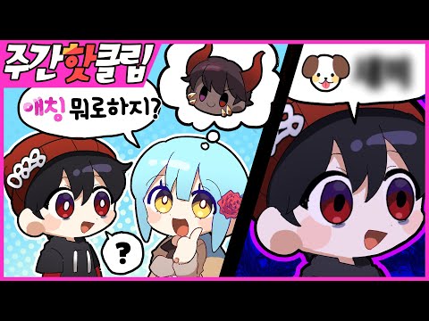 『견자희』2021년 3월 5주차 주간핫클립!