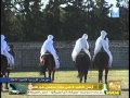 عقد سيدي حامد العجيلات مهرجان الفروسية عقد سيدي حامد العجيلات مهرجان الفروسية