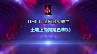 土坡上的狗尾巴草DJ