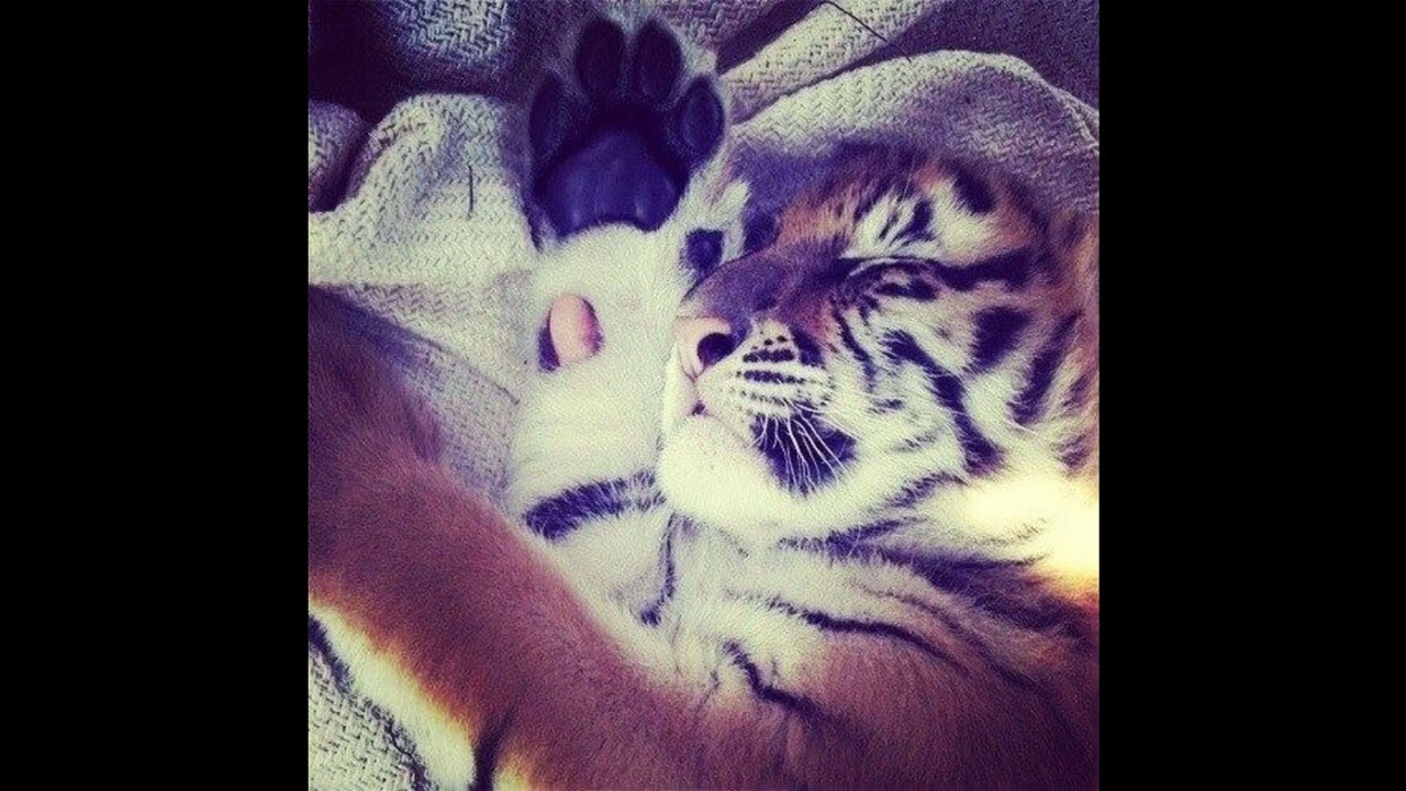 [FREE] hard underground type beat 