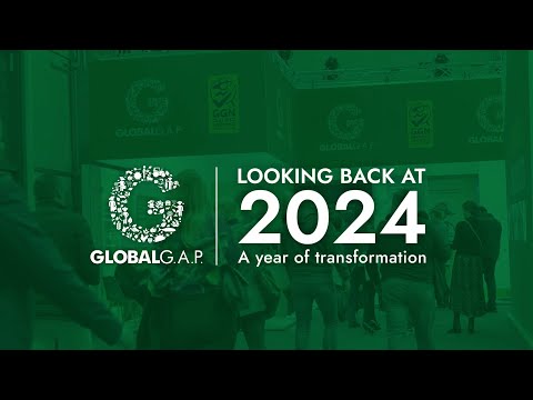 Our highlights from 2024