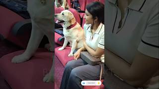 Download Lagu Rachana Me and Gunda as Simba's Stepping Fear #shorts #dog #dogshorts #rachana #actor #film #rakeshadiga MP3 Download Lagu Rachana Me and Gunda as Simba's Stepping Fear #shorts #dog #dogshorts #rachana #actor #film #rakeshadiga MP3