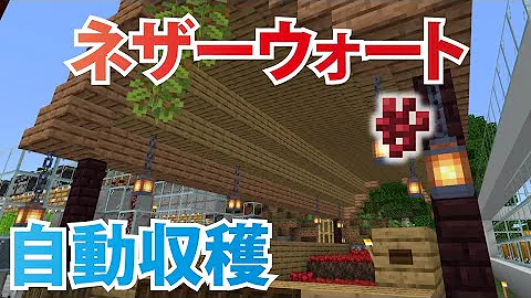 マイクラ 統合版 自動回収機 ネザーウォート Mp3