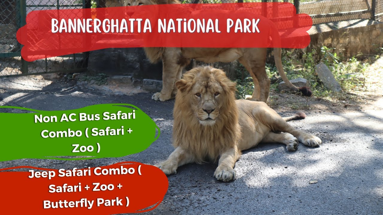 bannerghatta safari ticket booking