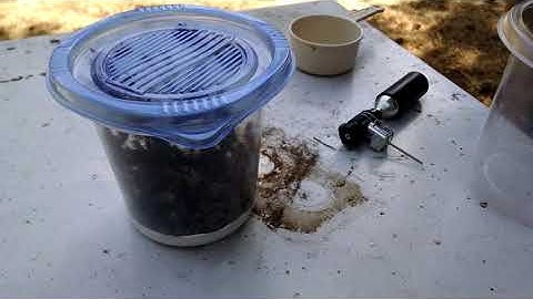 Mite check with CO2 - Our Biz is BEES