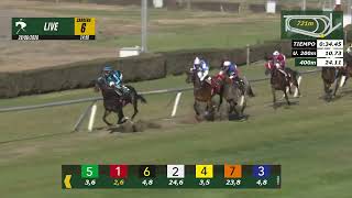 Vidéo de la course PMU PREMIO COPA ZANARTU
