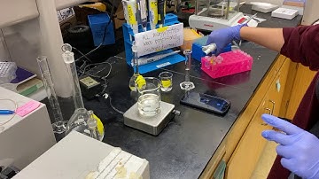 SJSU CHE163L ONPG part 8- Batch Reactor method (1/2)