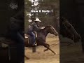 #Horse Riders#
