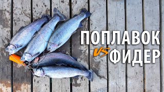 На что клюёт форель? ФИДЕР vs ПОПЛАВОЧКА. Платная рыбалка в РК &quot;Посейдон&quot;.