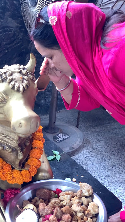 I don't have anything...everything is yours Sanwariya Seth !! Baba's darshan #ytshorts#shortsfeed...