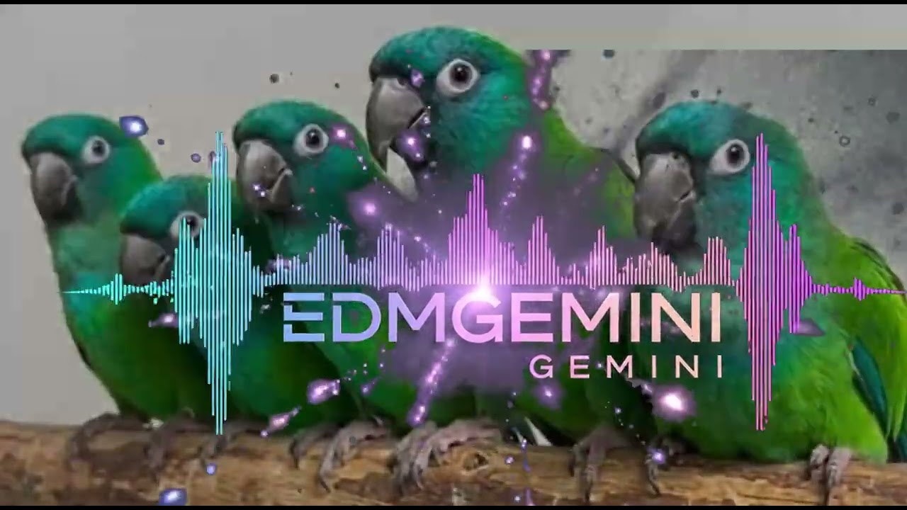 EDM เพลงโยก มาเต้นกันดีกว่า อัลบั้ม ก็แดดมันร้อน