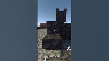 Minecraft Black Cat Build! Part 1