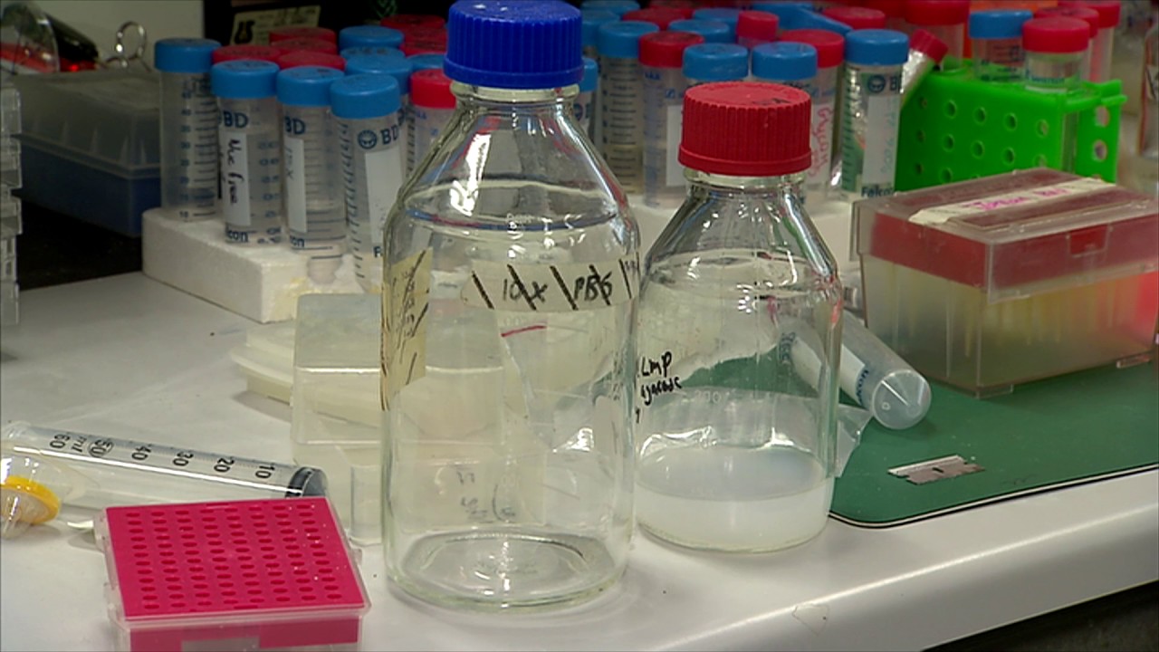 Marching for science - but where are we going?