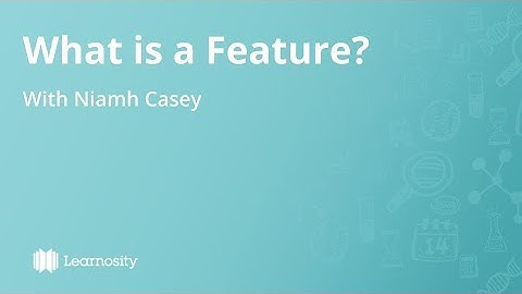 What is a Learnosity Feature?