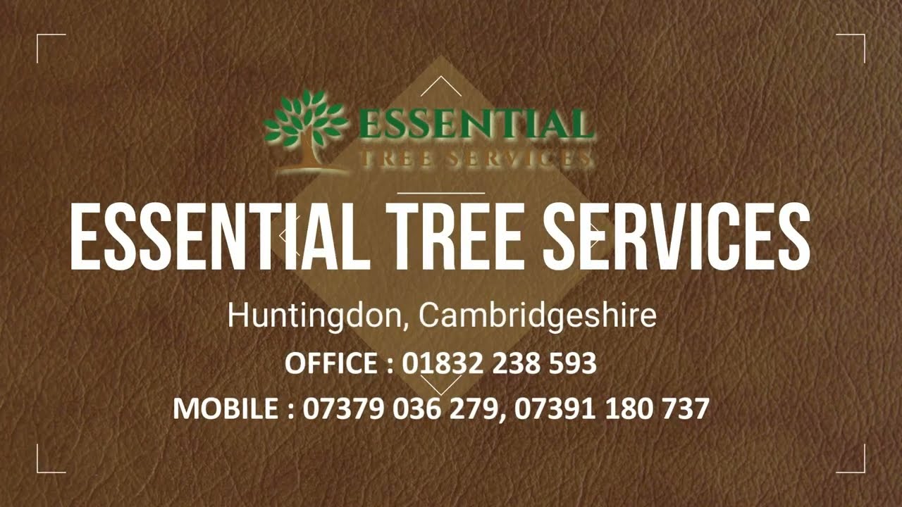 Tree Surgeon Huntingdon | Tree Surgeon Kettering - Essential Tree Services Ltd - Cambridgeshire
