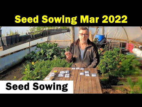 Seeds to Sow in March | Seed Sowing in March | Vegetable Seed Sowing | Green Side Up