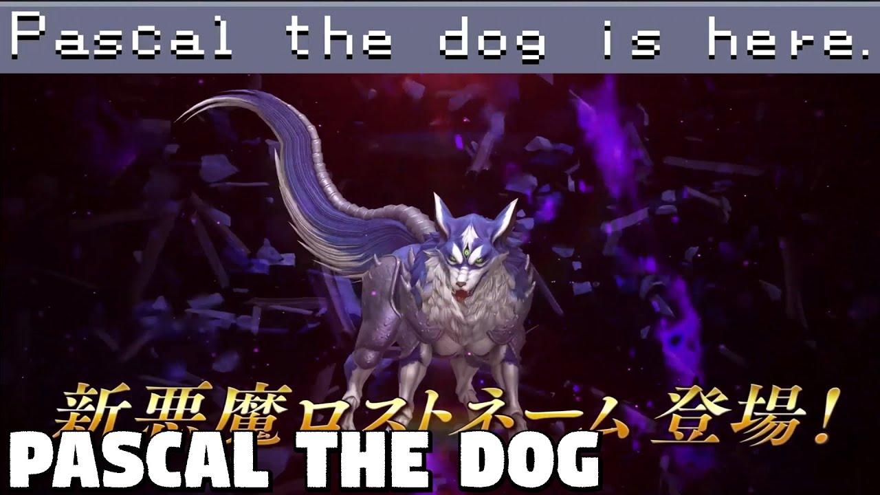 Pascal the Dog is HERE Reveal - Shin Megami Tensei Liberation Dx2