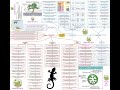 Homeostasis adaptations Mind Map
