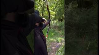 94Lbs Saluki Horn Bow Close Up