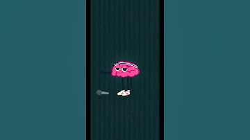 Wordbrain Dragonfly Level 8 Answers Wordbrain Dragonfly Updated 2021