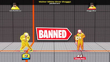 Multiversus Modding has been BANNED