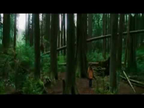 Trailer Oficial Luna Nueva [New Moon] (subtitulado en espaÃ±ol).3gp