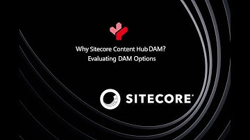Why Sitecore Content Hub DAM Evaluating DAM Options