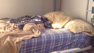 Self Making Bed! | Stop-Motion Animation