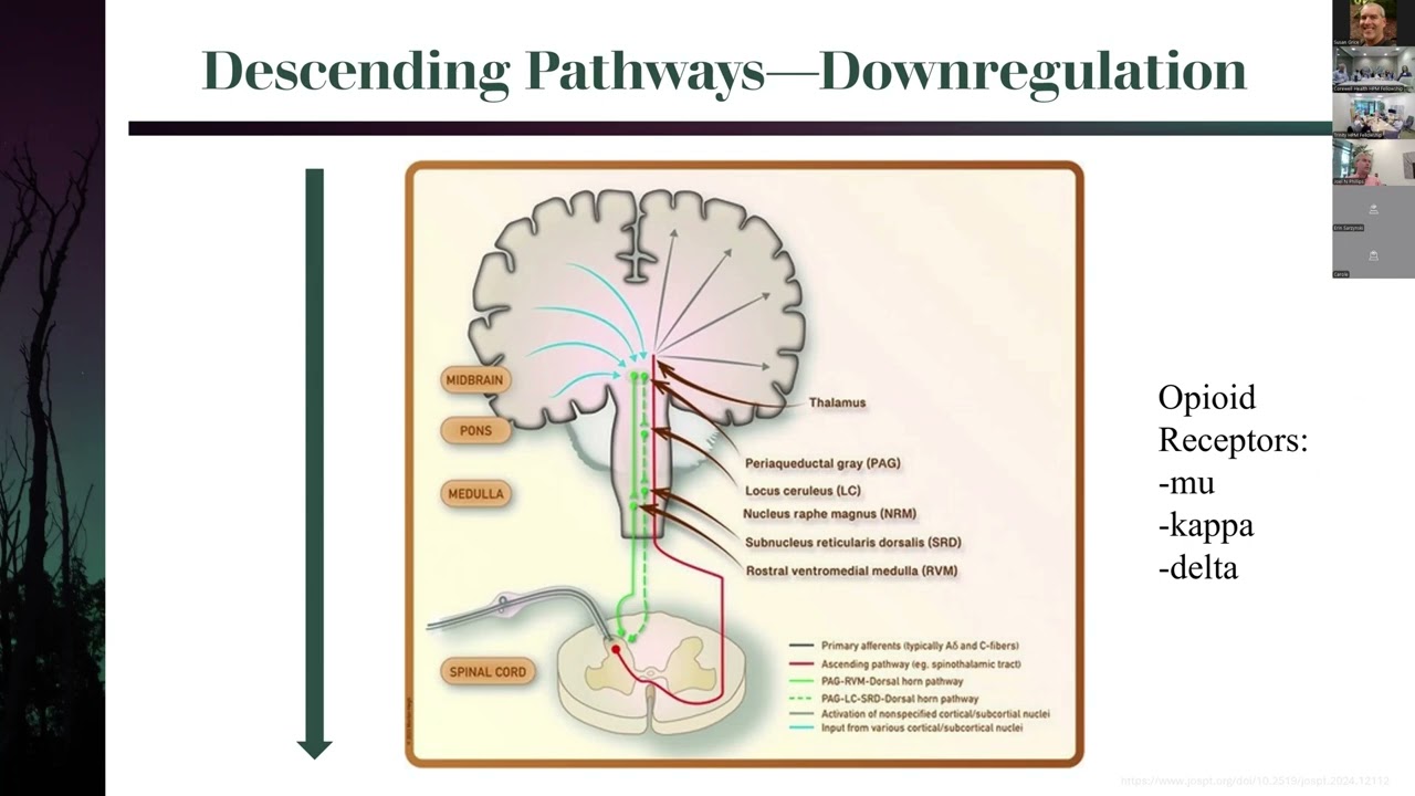 Considerations in Pain Management Part 1