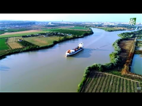 Los vaciaderos del puerto de Sevilla, portal de vida, Sevilla