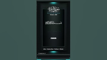 سورةالبقرة ✨ ترجمة اية ٢٠٨