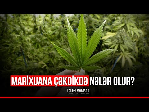 Video: Qlial hüceyrələr neyrotransmitterlər buraxırmı?