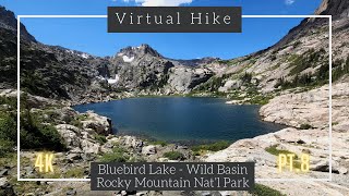 Bluebird Lake | Wild Basin Trail | Rocky Mountain National Park | Pt. 8 | 4k Virtual Hikethrough