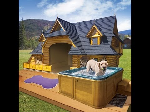35 HQ Photos Casas Para Perros Grandes : Las 3 Mejores Casas de Lujo para Perros en Amazon (2020 ...