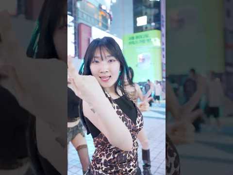 호피냥이들이 말아주는 키오프 신곡 🐆💛🤎 #키오프 #whoisshe #그루밍 #kpop #kpopdance #danceperformance